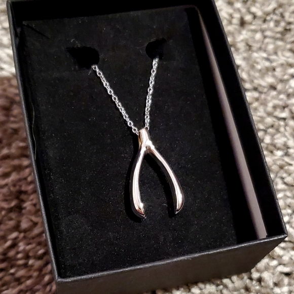 Jewelry - Wishbone silver necklace